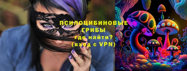 наркотики Белокуриха