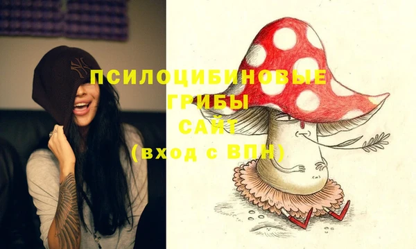 гашик Балабаново